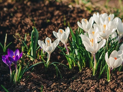 Детские программы на МАРТ